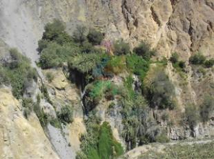 Cañon del Colca- Volcanes