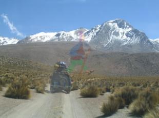 Chachani