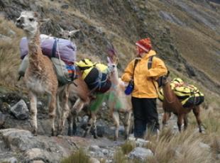 Trek Olleros Chavin