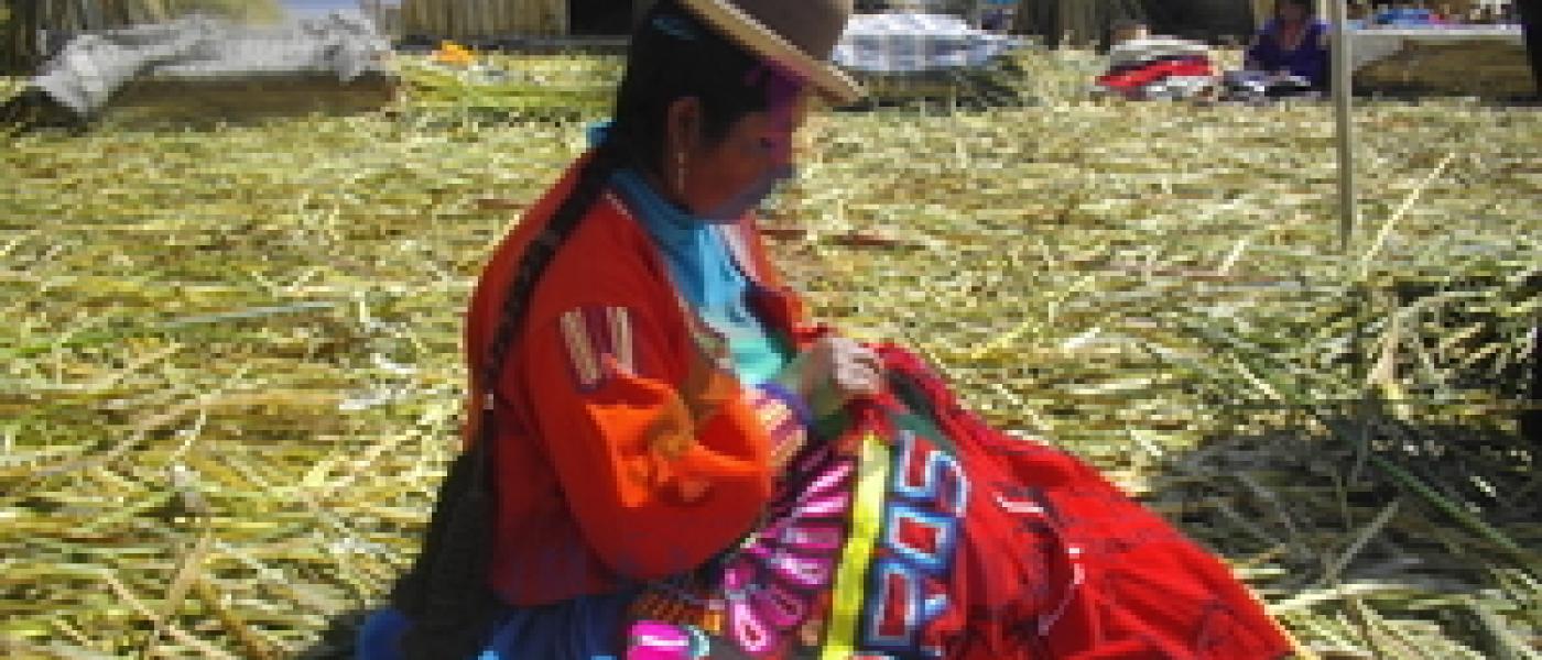 Tours Sur Peru