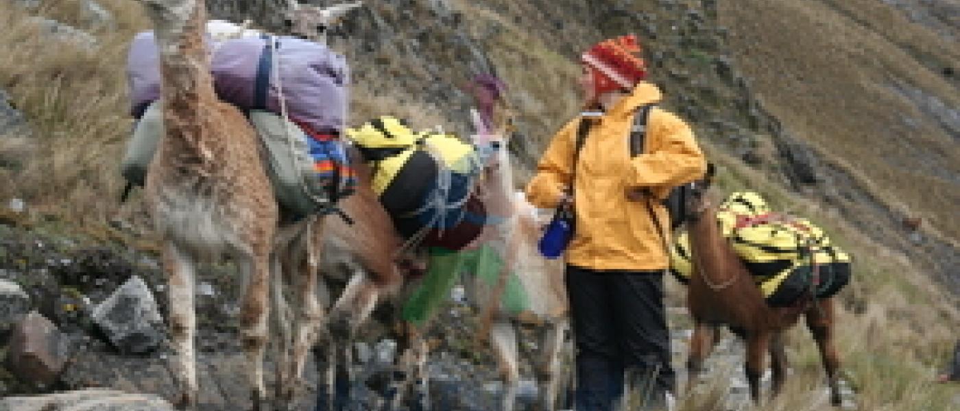 Trek Olleros Chavin